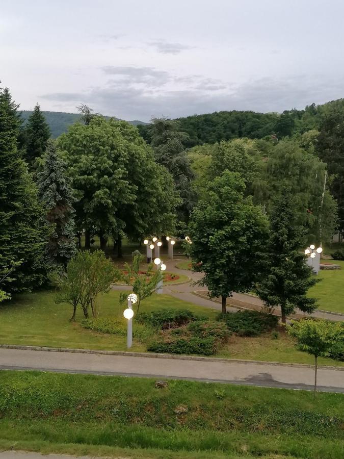 Koko Apartman Vrnjačka Banja Kültér fotó