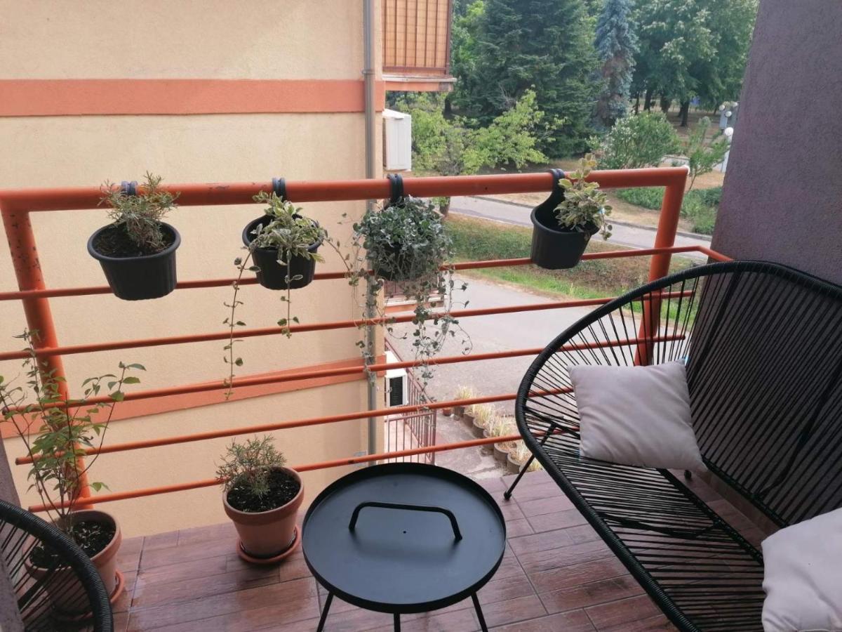 Koko Apartman Vrnjačka Banja Kültér fotó