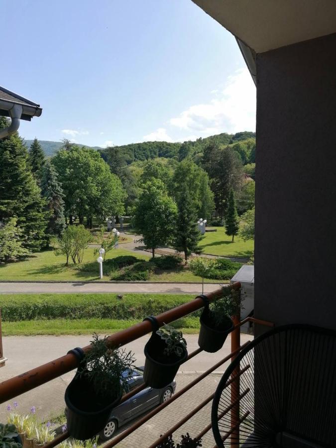 Koko Apartman Vrnjačka Banja Kültér fotó
